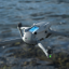 DJI Celluar Dongle 2